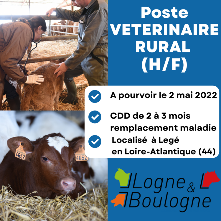 Offre poste vétérinaire rural (H/F) en CDD de 2 à 3 mois à partir du 2 mai 2022
