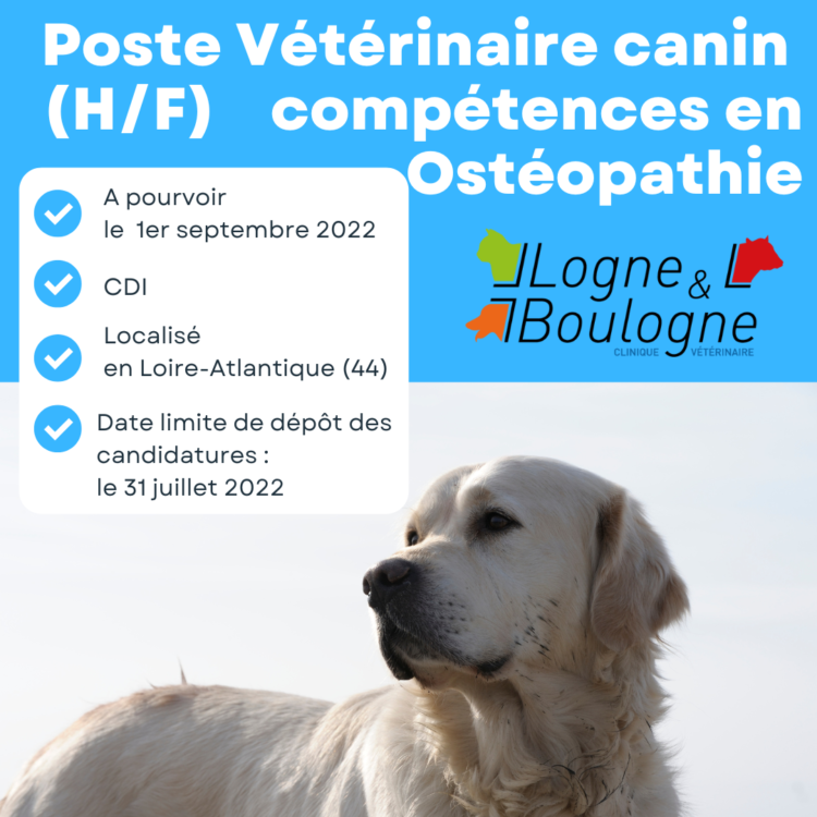 Offre poste vétérinaire canin (H/F) avec compétences en ostéopathie en CDI à partir du 1er septembre 2022