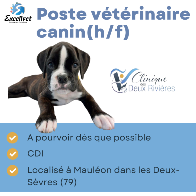 Offre poste vétérinaire canin (H/F) en CDI dès que possible