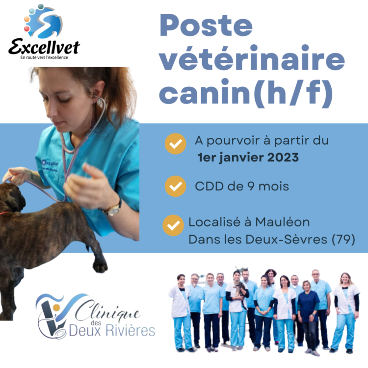 Offre poste vétérinaire canin (H/F) en CDD du 1er janvier au 30 septembre 2023