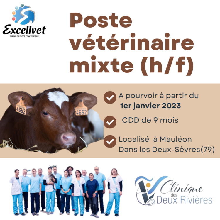 Offre poste vétérinaire mixte (H/F) en CDD du 1er janvier au 30 septembre 2023