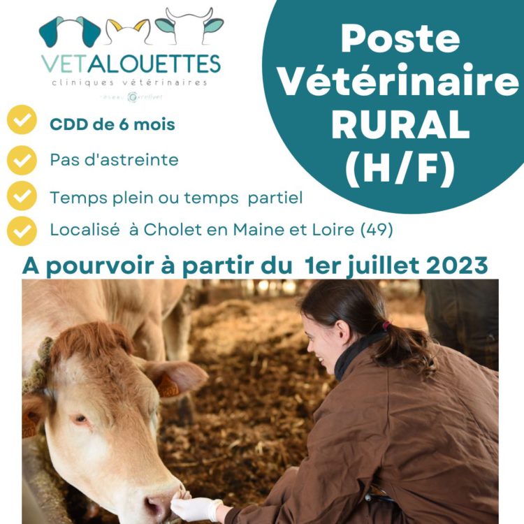 Offre poste Vétérinaire rural (H/F) en CDD jusqu’au 31 décembre 2023